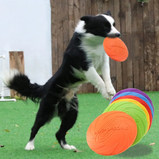 Frisbee en Silicone pour Chien et Chat — Résistant aux Morsures, Parfait pour l'Été 🌞