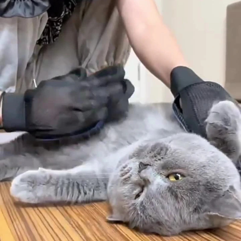 Gants de Toilettage en Silicone pour Chien et Chat — Brosse Douce & Épilation Facile