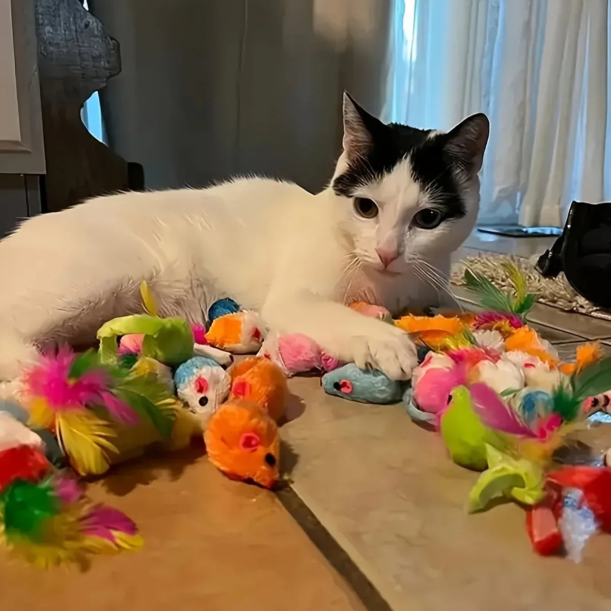 Méga Pack de Jouets pour Chat & Chaton — Balles, Souris, Plumes & Plus (14 / 28 / 56 pièces) 🐱