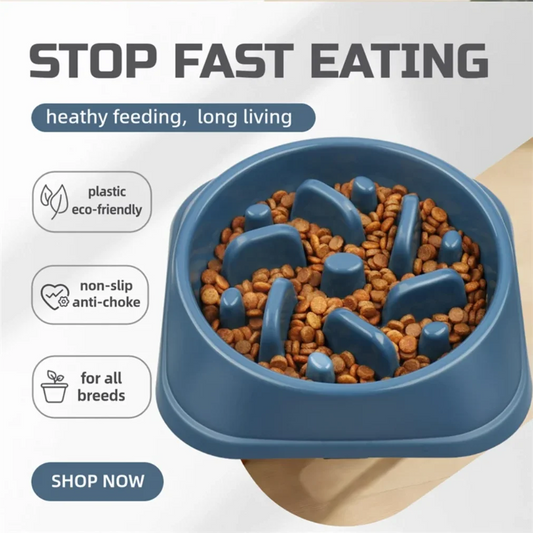 Slow Feeder Bowl for Dogs & Cats — Slow Eating, Non-Slip & Anti-Bloat 🍽️