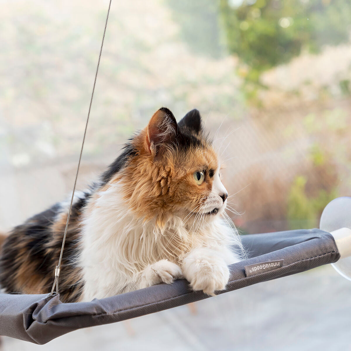 Hamac suspendu pour chat