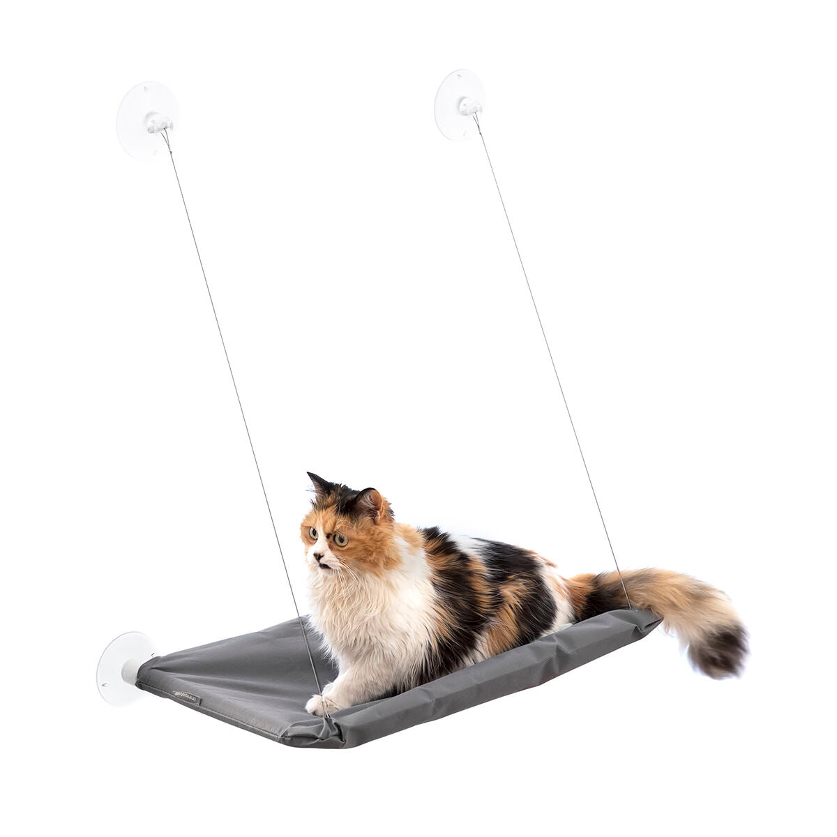 Hamac suspendu pour chat