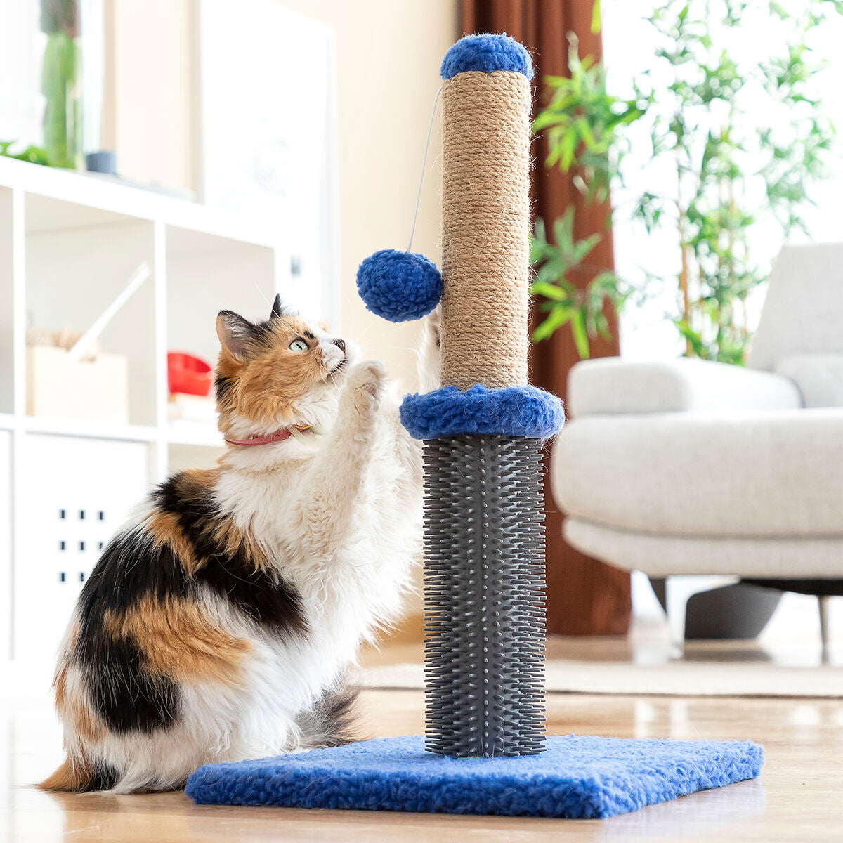 Griffoir et poteau de massage pour chat avec balle