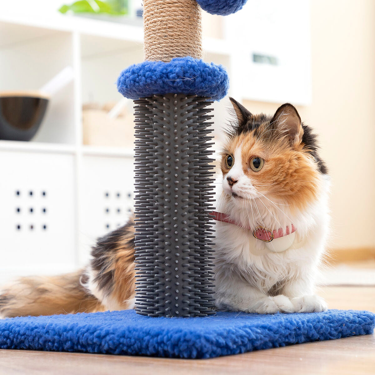 Griffoir et poteau de massage pour chat avec balle