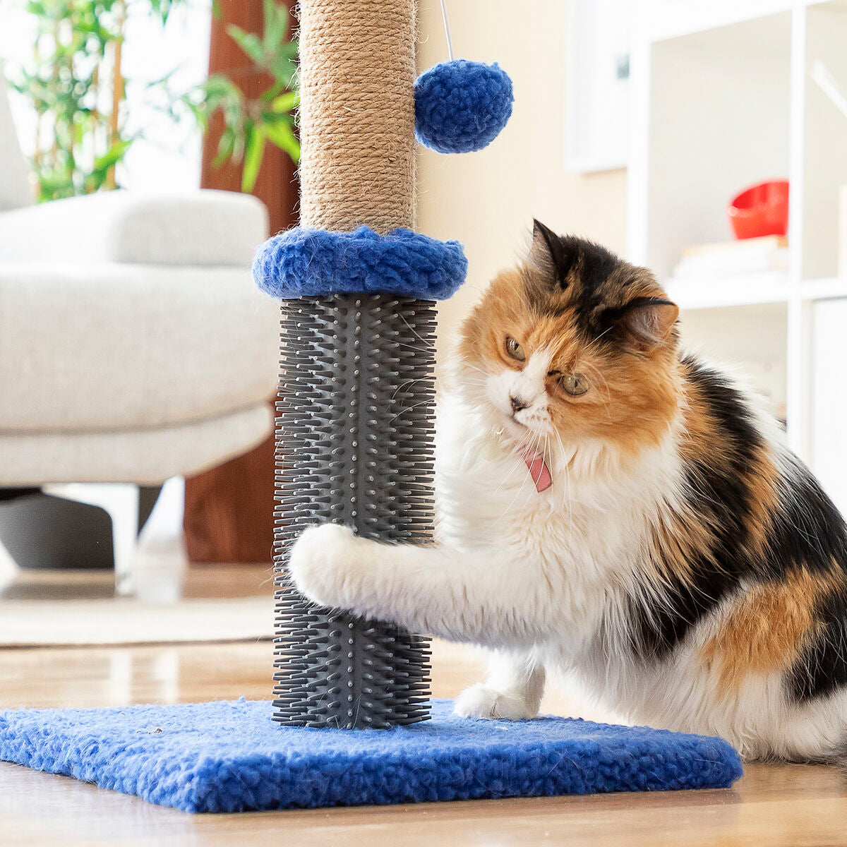 Griffoir et poteau de massage pour chat avec balle