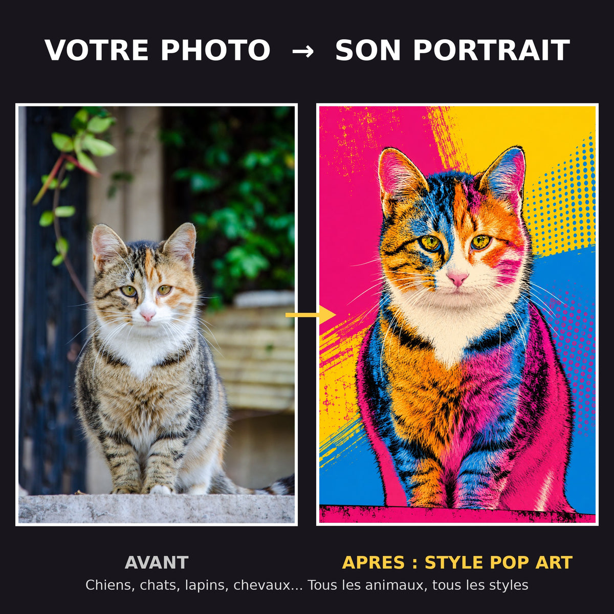 Avant apres portrait de chat pop art colore style Warhol - transformation photo en portrait d'art