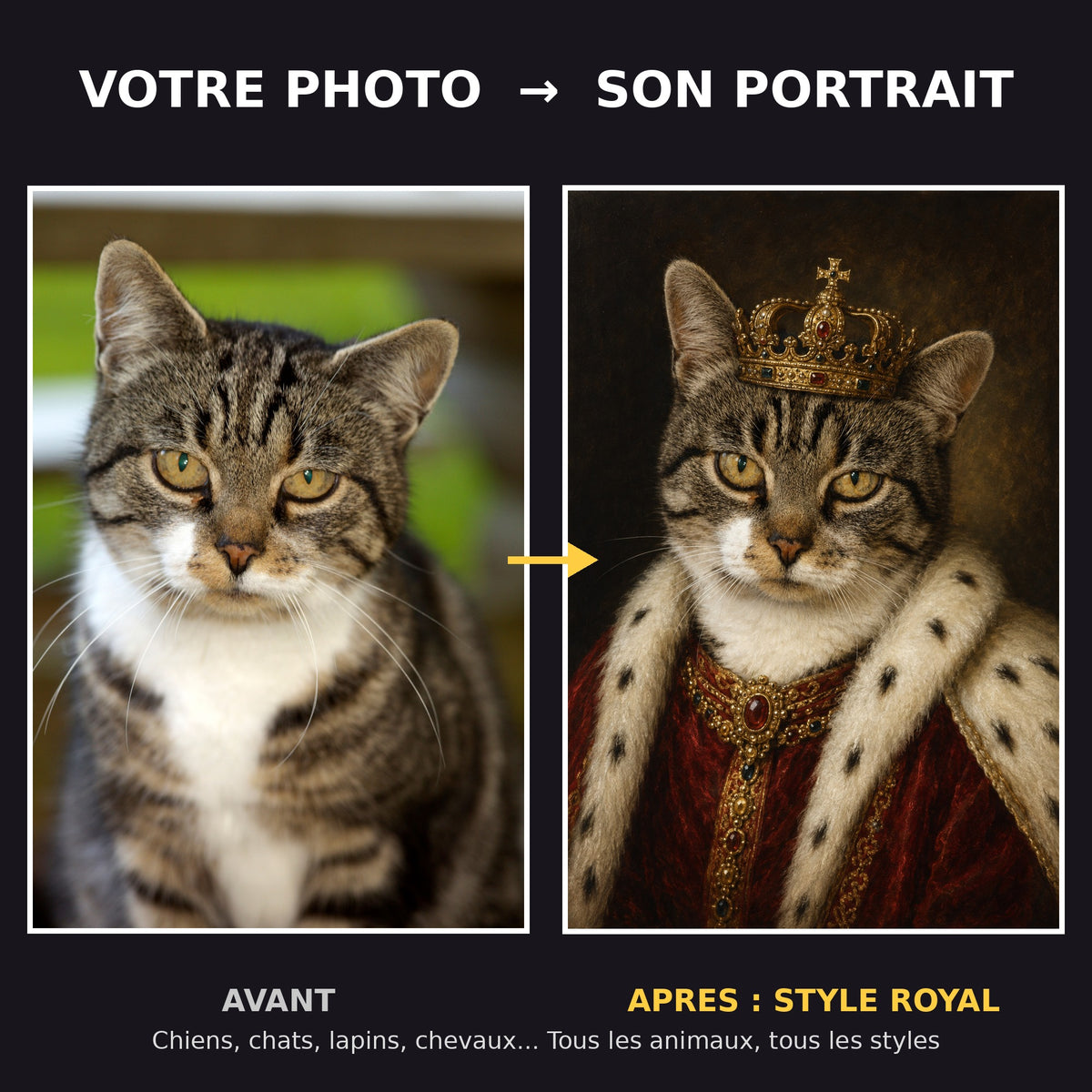 Avant apres portrait de chat style royal avec couronne - exemple transformation photo en portrait d'art
