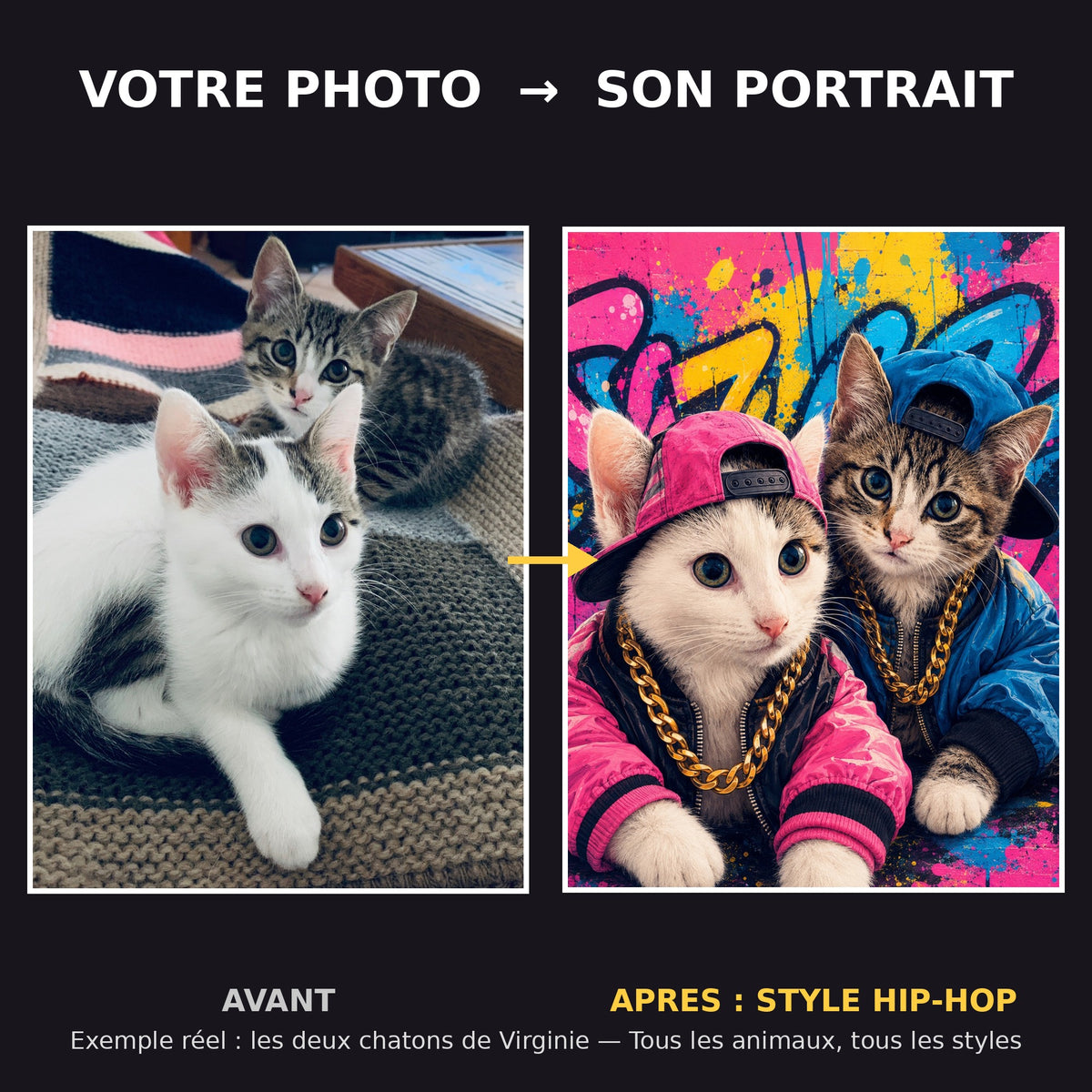 Avant apres portrait de chats style hip-hop - exemple reel de deux chatons transformes en portrait d'art