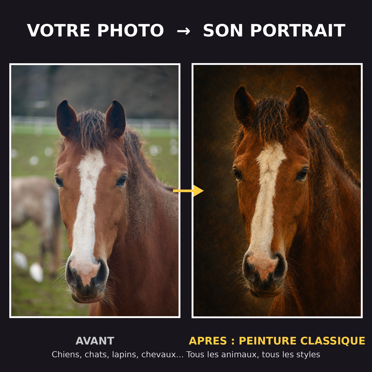Avant apres portrait de cheval peinture classique a l'huile - transformation photo en tableau