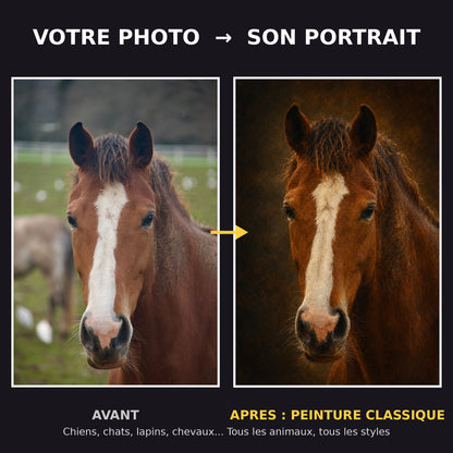 Avant apres portrait de cheval peinture classique a l'huile - transformation photo en tableau