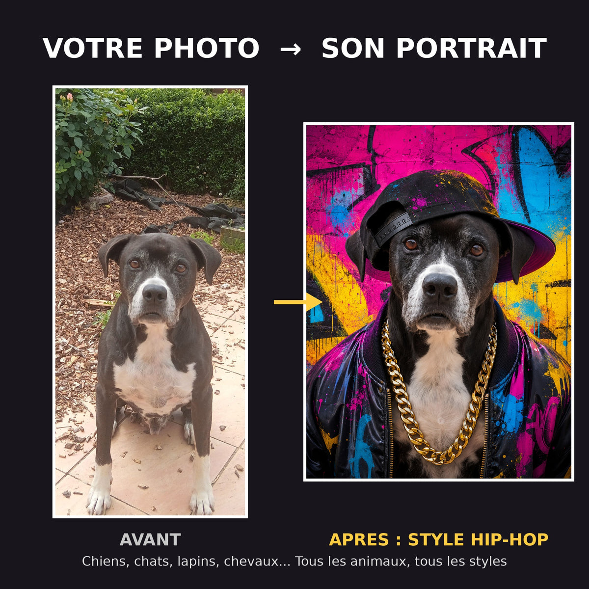 Avant apres portrait de chien style hip-hop street art - transformation photo en portrait d'art
