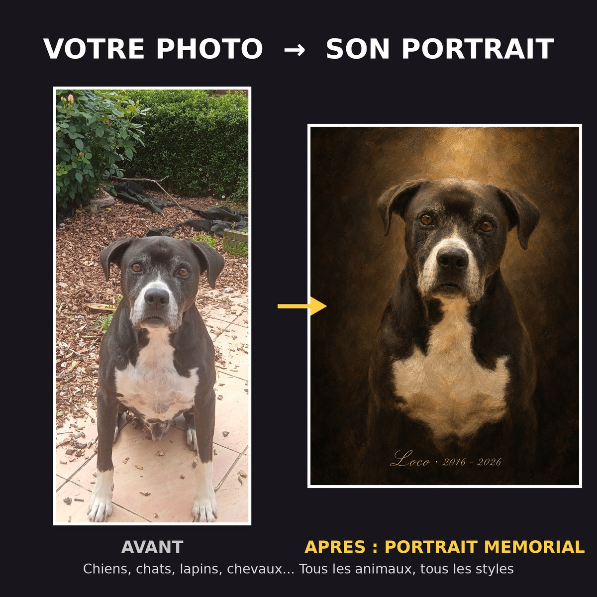 Avant apres portrait memorial de chien avec prenom et dates de vie - transformation photo en hommage
