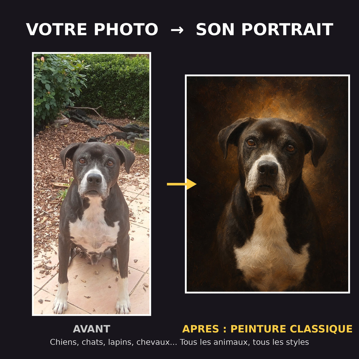 Avant apres portrait de chien peinture classique a l'huile - transformation photo en tableau