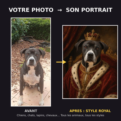 Avant apres portrait de chien style royal - photo transformee en portrait d'art avec couronne