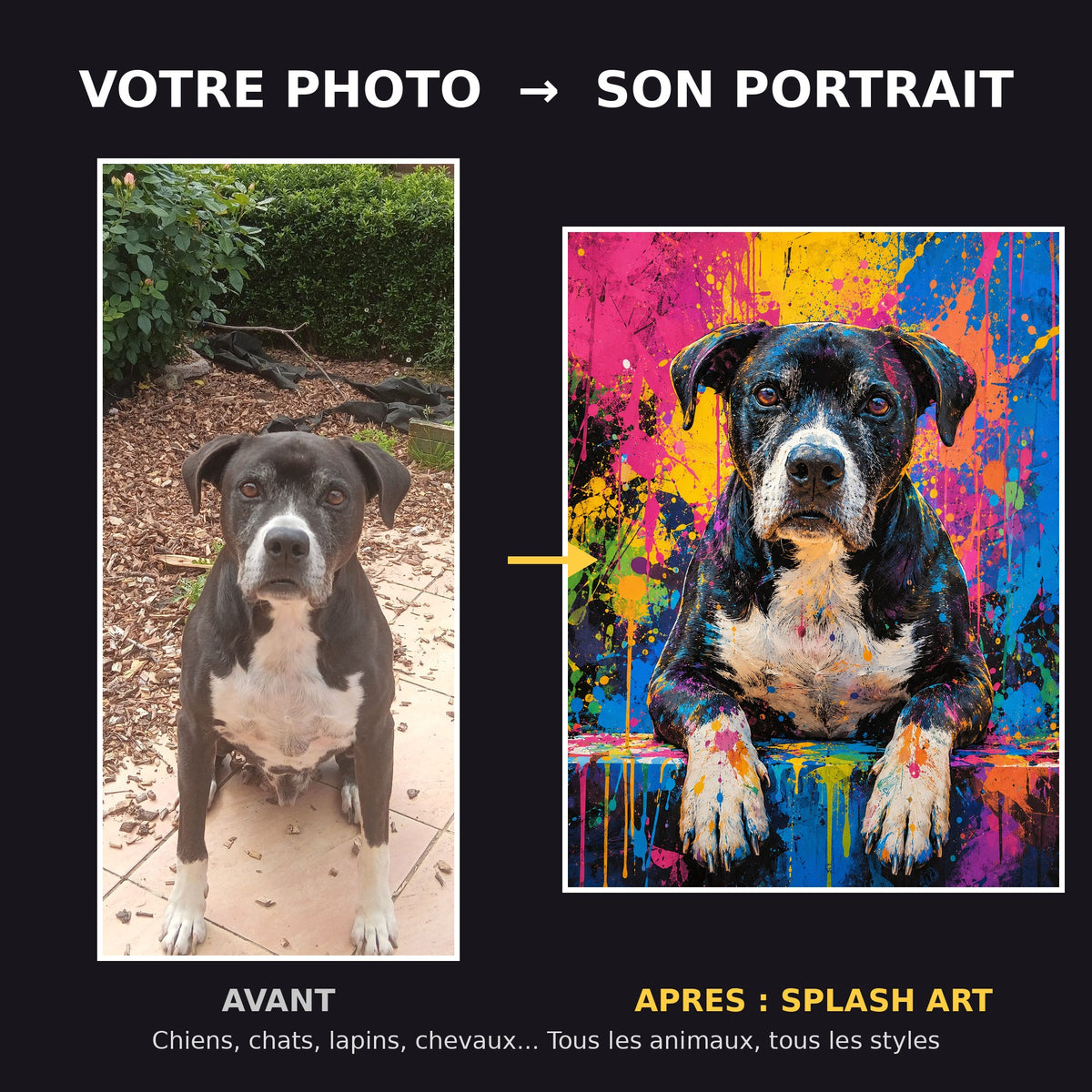 Avant apres portrait de chien splash art eclaboussures - transformation photo en portrait d'art