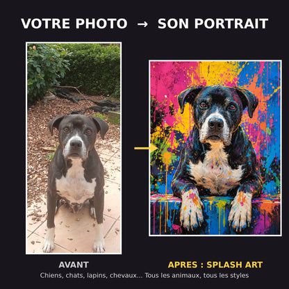 Avant apres portrait de chien splash art eclaboussures - transformation photo en portrait d'art