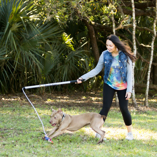 Flirt Pole - Jouet d'Entraînement pour Chien