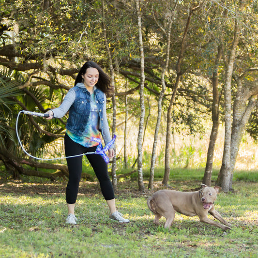 Flirt Pole - Jouet d'Entraînement pour Chien
