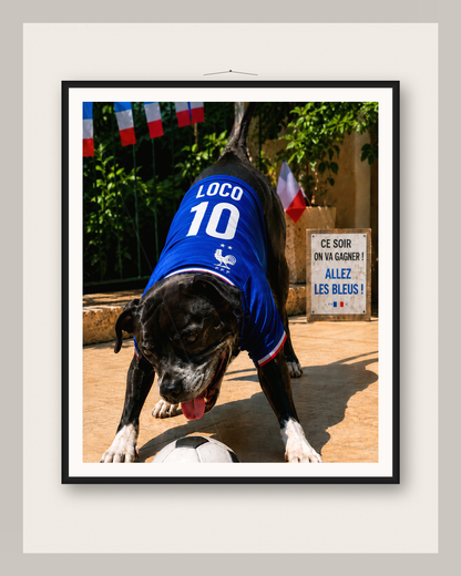 Poster encadré personnalisé — Portrait de votre animal dans un cadre noir